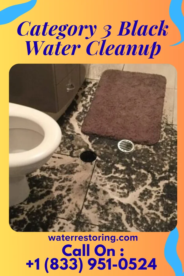 Category 3 Black Water Cleanup in Mount Pleasant, PA