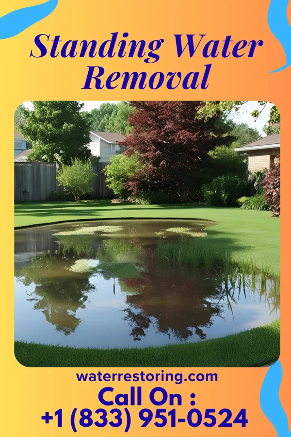 Standing Water Removal in Mount Pleasant, PA
